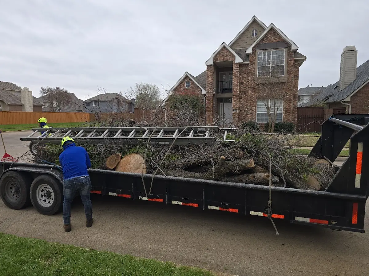 Expert Tree Fertilization with proper safety equipment in Sciota